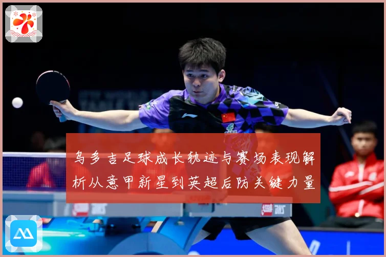 乌多吉足球成长轨迹与赛场表现解析从意甲新星到英超后防关键力量-深度解析